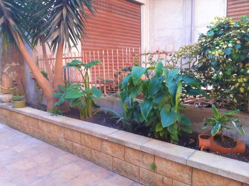 Nonna Sicilia B&B 5
