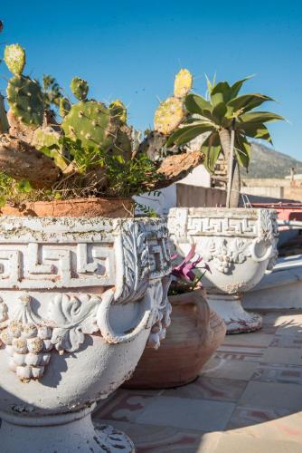Terrazza al Capo by Wonderful Italy, Palermo (fotografie 10)