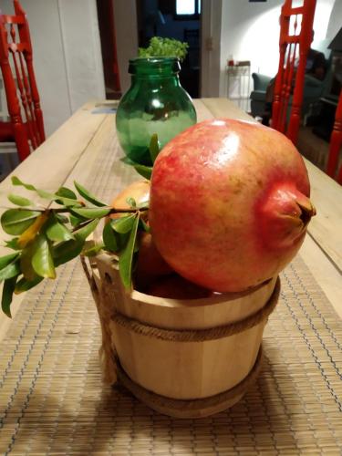Les Magranes Bed & Breakfast in Argelaguer