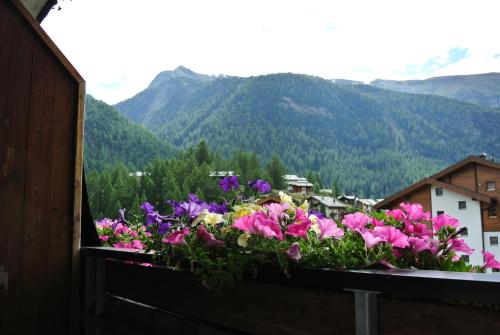 Apartment Aura, Zermatt (foto 6)