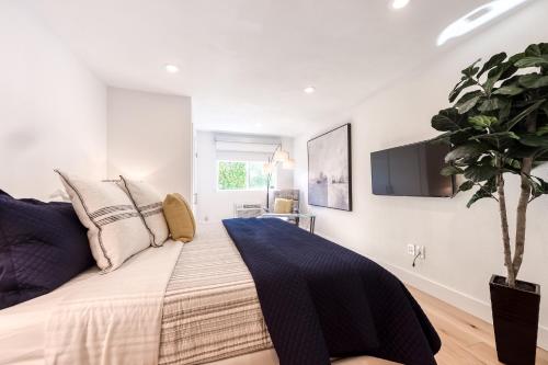 Mountain View Oasis - image 7