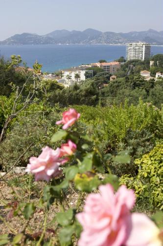 Cannes Villa Francia S4/5p Eco