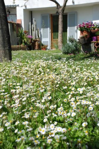 Bed and Breakfast Il Girasole – Lamporecchio, IA
