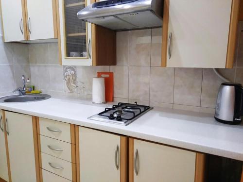 virtuve, Apartment in the center of Bender in Bender