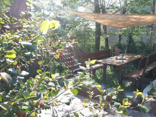  Apartment- Rosa 4+2 in Sassetta