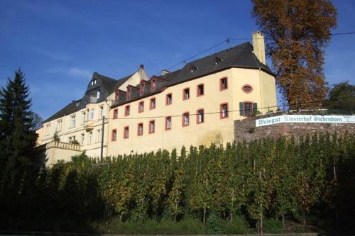 Schwalbennest auf dem Weingut Arthur Melsheimer - Apartment - Maring-Noviand