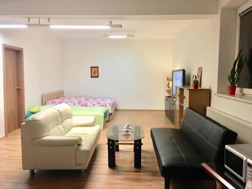 KLIDNÉ A ÚTULNÉ UBYTOVANÍ BRNO STARÝ LÍSKOVEC - Apartment - Brno