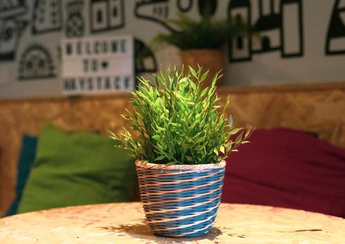 Haystack Hostel - image 12