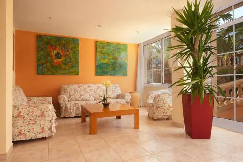 PINOS ALTOS 11 - image 9