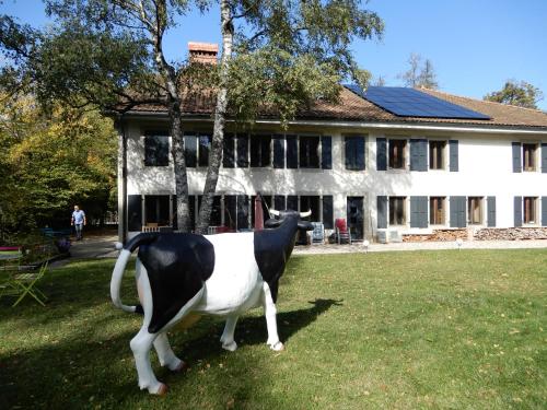  Chambres d´hôtes T´22, Pension in Fleurier bei La Brévine