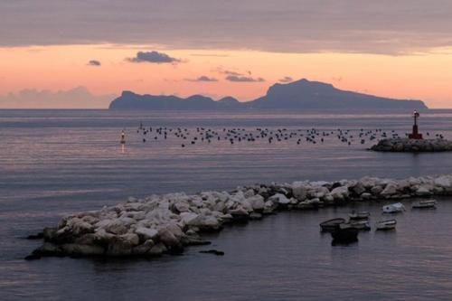 Terrazze del Lungomare, Naples