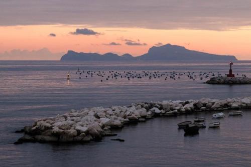 Terrazze del Lungomare Naples