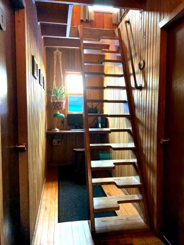 Casa Azul Hostel in 瓦拉斯港