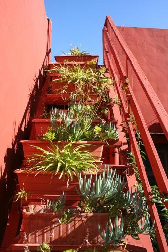 Casa Antiquary - Albergue Turistico