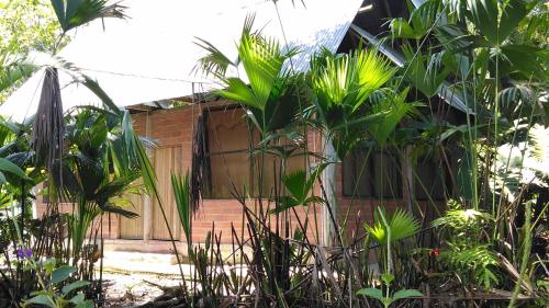 Misahualli Laguna Paikawe B&B in Puerto Misahualli