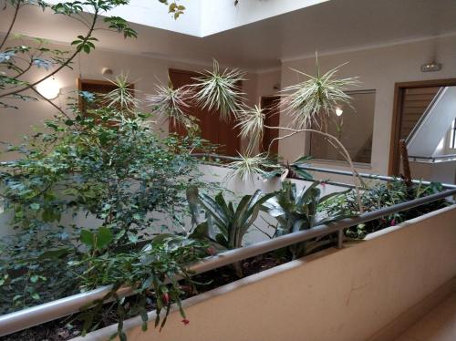  Cidade da Praia in Figueira da Foz