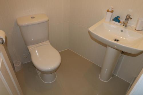 The Lavenders Room Type - Twin Room with Bathroom