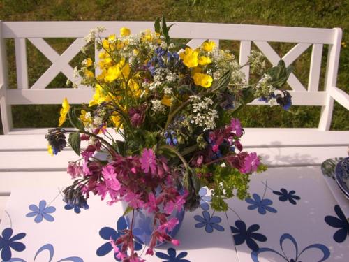 Knut Ellingsen Knut Ellingsen