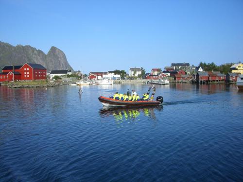 Knut Ellingsen Knut Ellingsen