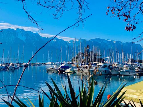 Alrededores, Central Studio with Lake View | 102 in Montreux