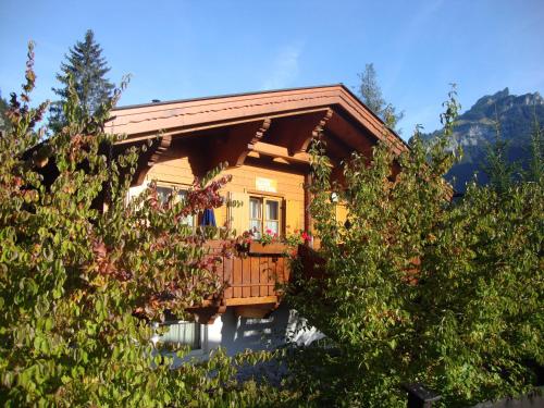 Alpen-Chalets Achensee - image 4