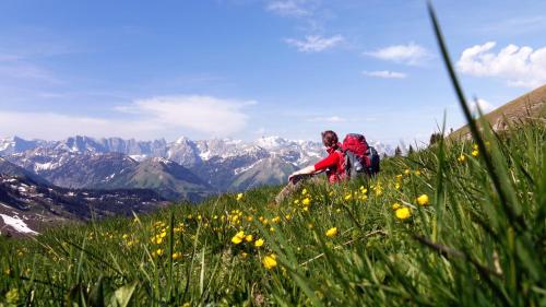 Alpen-Chalets Achensee - image 7