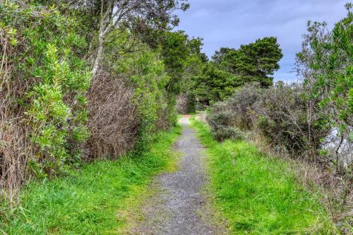 Sequoia Cottage - image 9