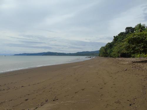 Hotel El Tesoro de Sir, Drake Bay