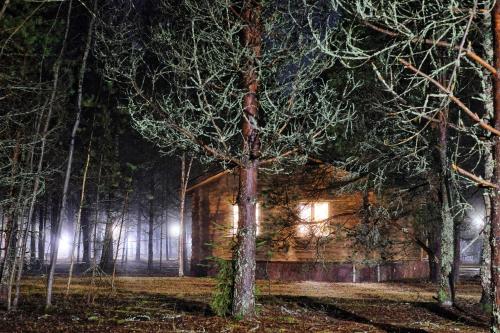 Seligerskoye Zaplavie - main image