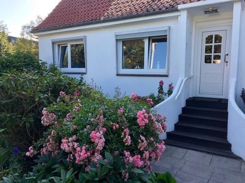 Ferienhaus Friesenleed