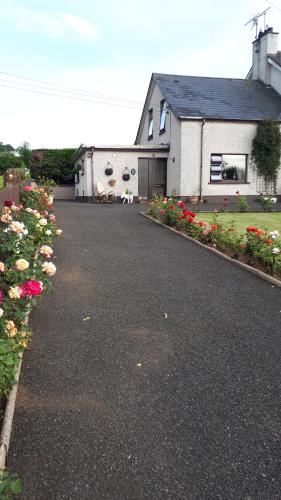 Bessies Cottage, , County Antrim