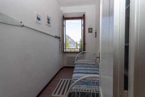 Breva - image 10