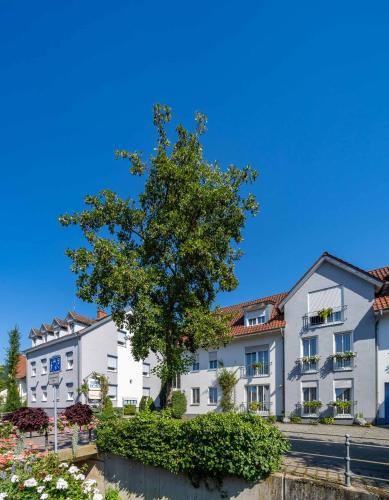 Stadthotel Pfeffermühle - Hotel - Gengenbach