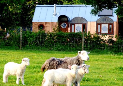 The Observatory At Frieda And The Moon, Lanteglos, Cornwall