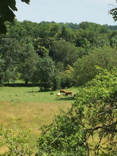 BOURGUETTE La petite maison dans la prairie