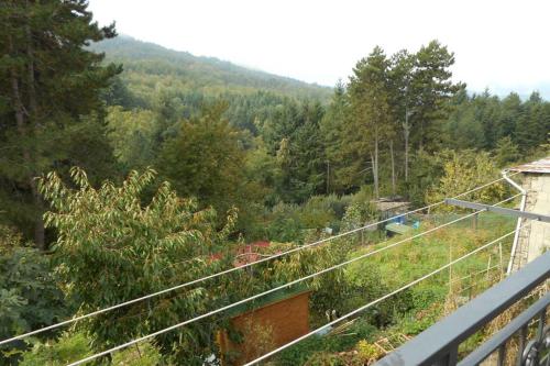 Authentic Tuscan Hide Away