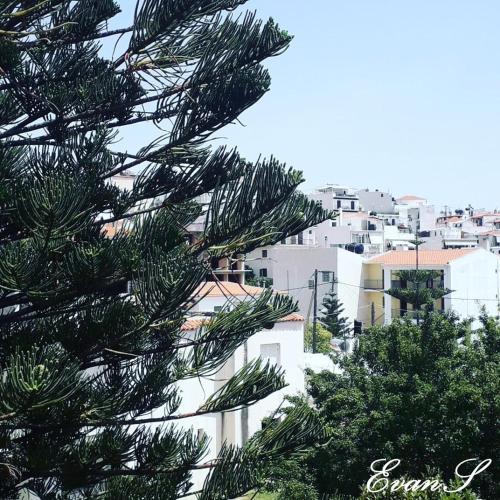 View, EVANS Skiathos in Skiathos Island