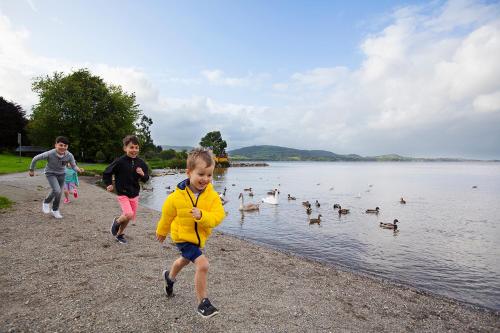 Clareville House B&B - image 3