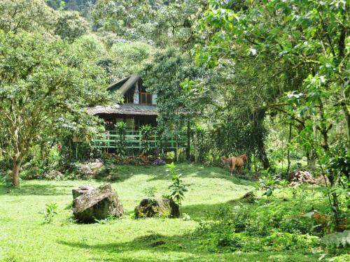 Mindo Eco Chalet, Rio y Cascadas, Mindo