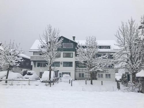 A szálláshely kívülről, Pension Edelweiss, apartment Amsterdam 4-6 pers in Gosau városközpont