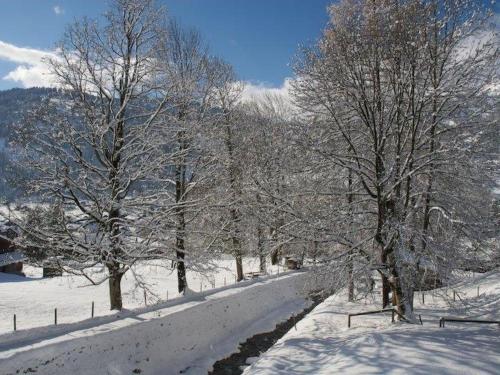  Apartment Pony 5-Bettwohnung by Interhome in Lenk im Simmental