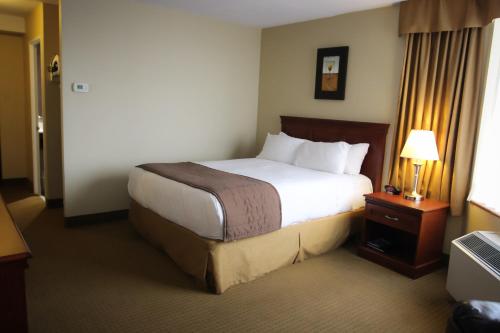 Queen Room image 4