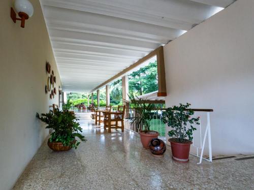 Lobby, Hotel Diria Santa Cruz in Santa Cruz