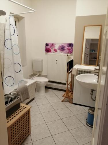 Wohnung im historischen Altbau von 1899, Zittau (photo 6)