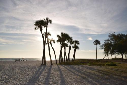 Runaway Bay 185 - 1357300 - image 7