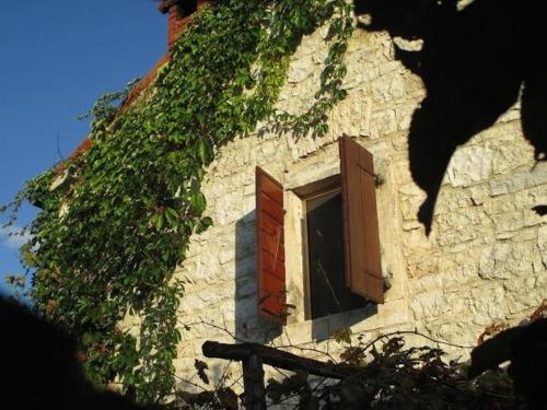 Villa Natural