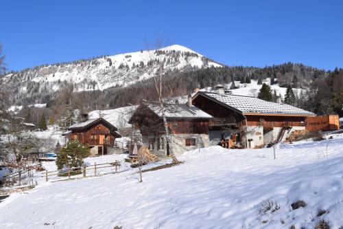 Accommodation in Samoëns