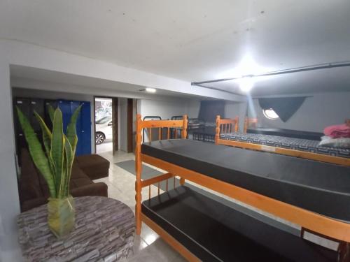 Brazilian Cult Hostel