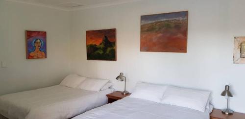 Veki's Town Lodge