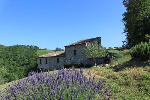 Agriturismo Carincone in Pergola (Urbino)